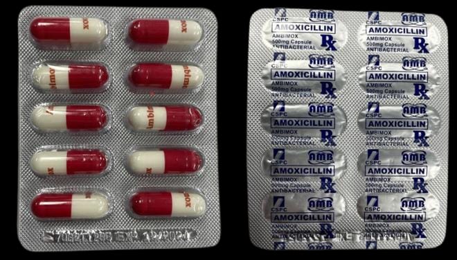 amocicillin-1.6 x Pharmaceutical Amoxicillin 500mg x 15 Capsules 6 x Pharmaceutical Amoxicillin 500mg x 15 Capsules