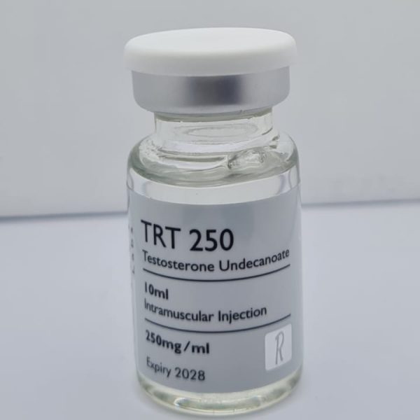 6 x ROHM Testosterone Undecanoate / Nebido / TRT 250mg x 10ml 2 WhatsApp Image 2025 10 29 at 11.32.22