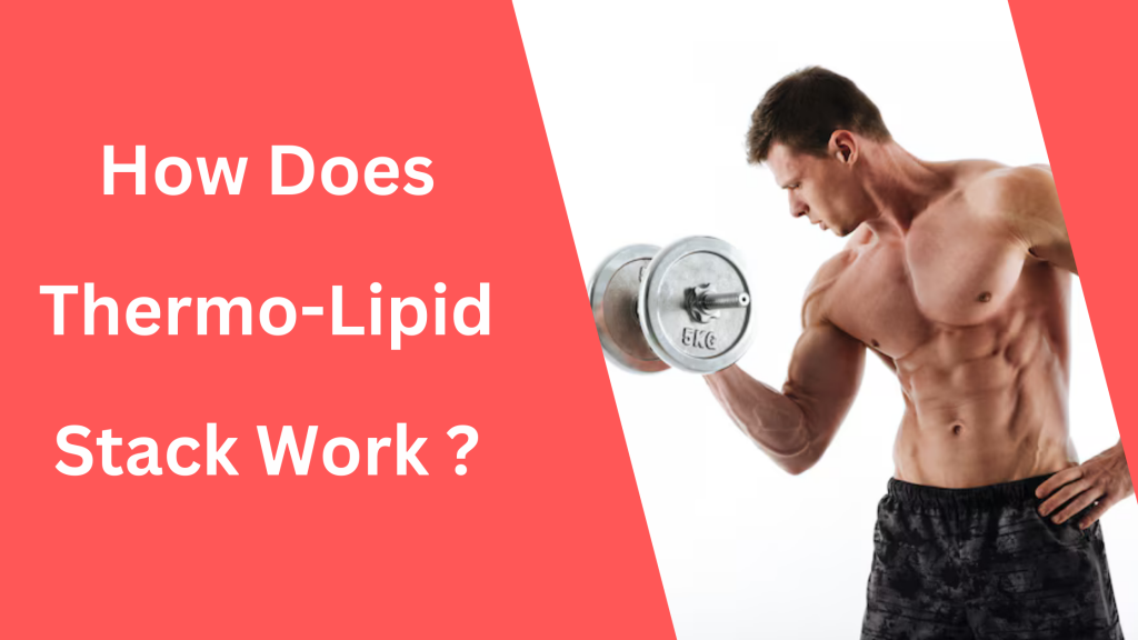 How Does Thermo-Llipid Stack Work ? 1 How Does Thermo-Llipid Stack Work ?