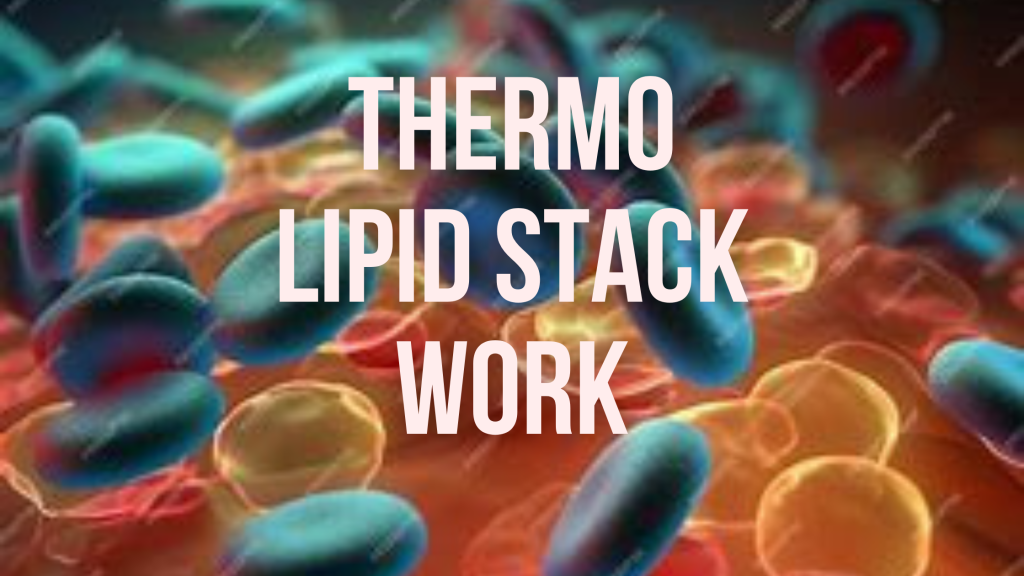 Thermo Lipid Stack Work