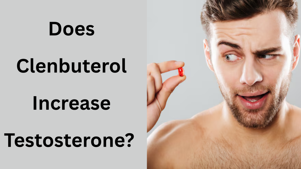 Does Clenbuterol Increase Testosterone?