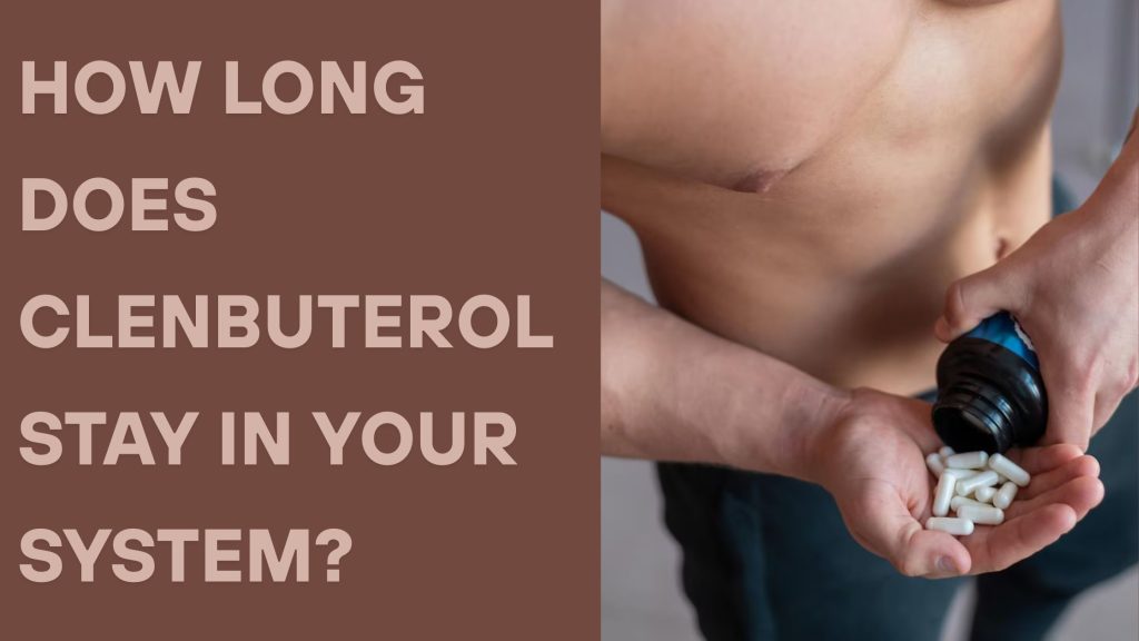 How Long Does Clenbuterol Stay in Your System?