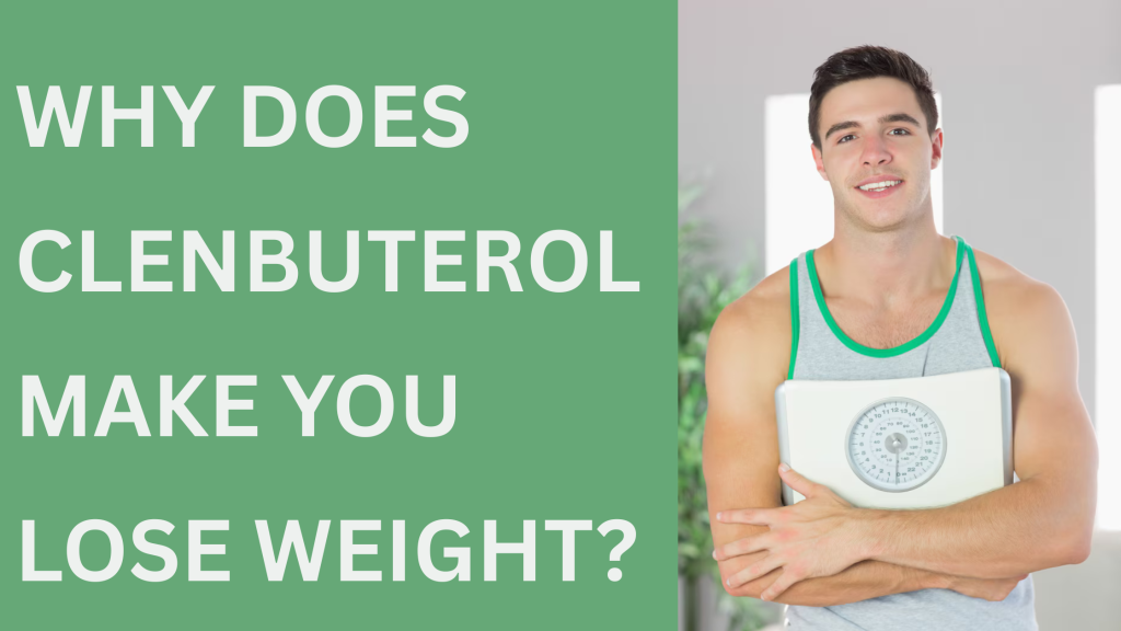 Why Does Clenbuterol Make You Lose Weight?